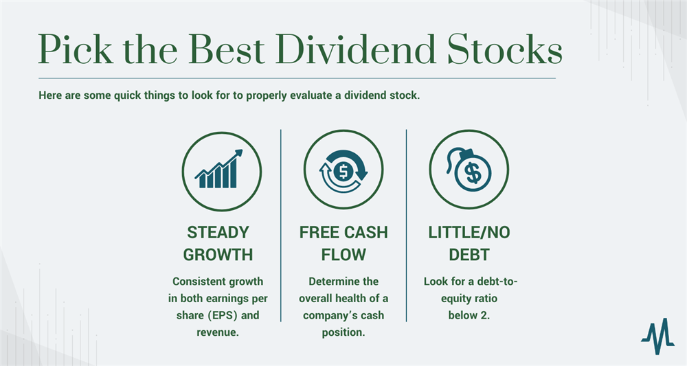 50 Best Dividend Stocks For 2024 MarketBeat